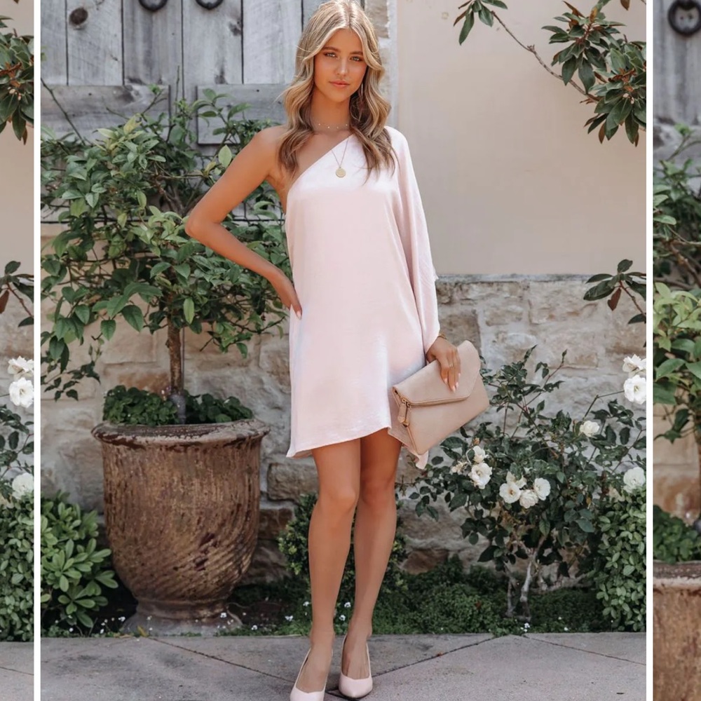 Vici float blush dress